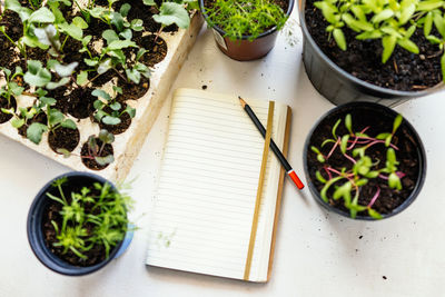 High angle view of potted plants and notepad on table