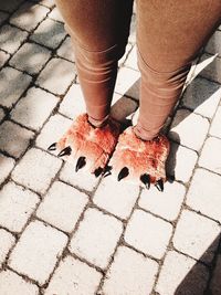 Low section of person wearing animal costume while standing on cobblestone