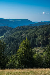 Landscape in schwarzwald area, baden-württemberg, germany