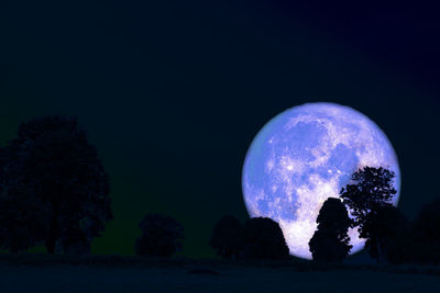 Close-up of silhouette trees against sky at night