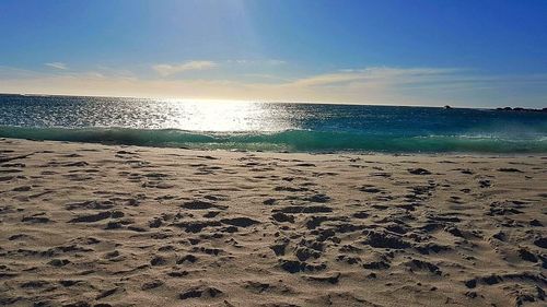 Scenic view of beach