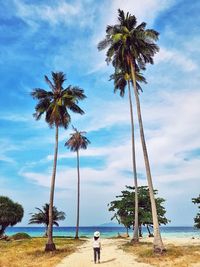 Palm trees on beach against sky