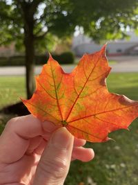 Close-up of hand holding maple leaf during autumn