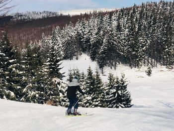Rear view of person skiing on snow covered mountain