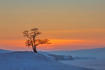 Bare tree on snow covered landscape against sky at sunset