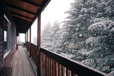 Snow covered walkway amidst trees during winter