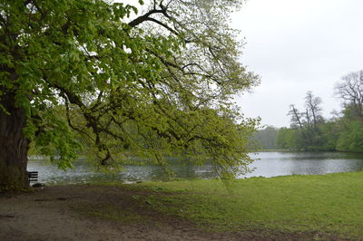 Scenic view of green landscape and lake against sky