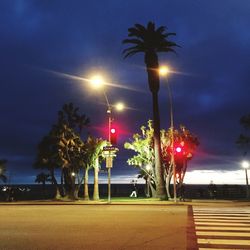 Illuminated street light and palm trees against sky at night