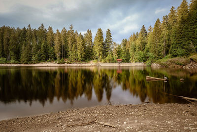 Reflection of trees in lake against sky