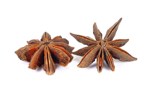 High angle view of dried leaves against white background