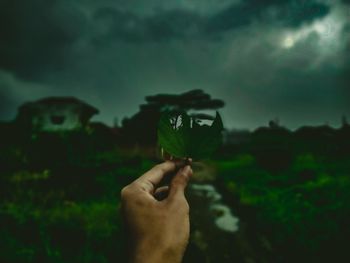 Midsection of person holding plant against sky