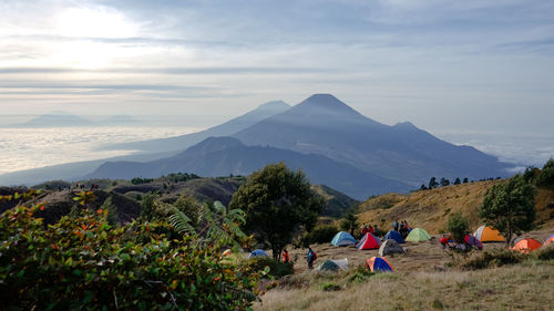 Portrait of the beauty of nature in the morning on mount prau wonosobo.