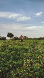 Scenic view of agricultural field against sky