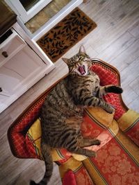 High angle view of cat on doormat