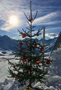 Snow covered tree by mountain against sky