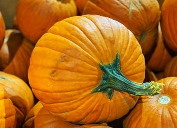 Full frame shot of pumpkins