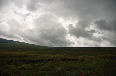 Scenic view of field against sky