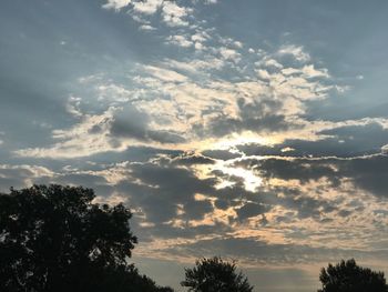 Low angle view of silhouette trees against sky