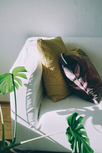 High angle view of leaves on table at home