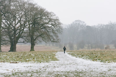 Man walking on snowy field against trees