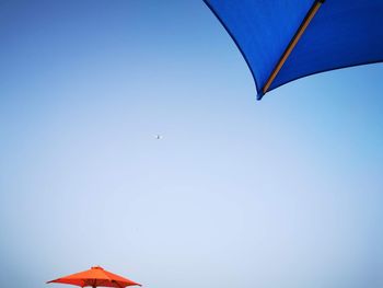 Low angle view of bird flying in sky