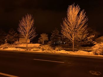 Bare trees by illuminated road during winter at night