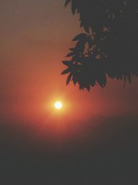 Silhouette tree against sky during sunset