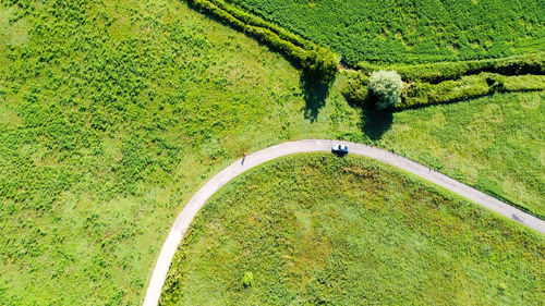 High angle view of road amidst agricultural field