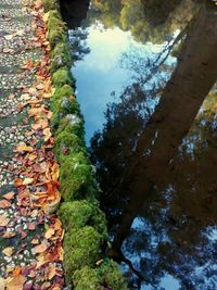 Reflection of trees in lake against sky