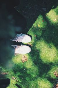 High angle view of shoes in park