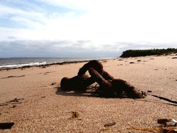 Surface level of beach against sky