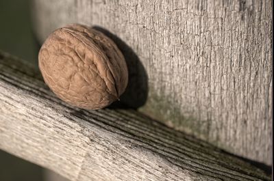 Close-up of walnut on wooden table