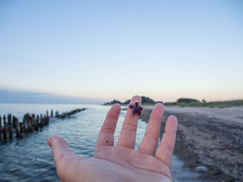 Cropped hand of person holding starfish at beach against sky