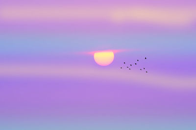 sky
