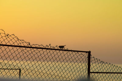 Chainlink fence against clear sky during sunset