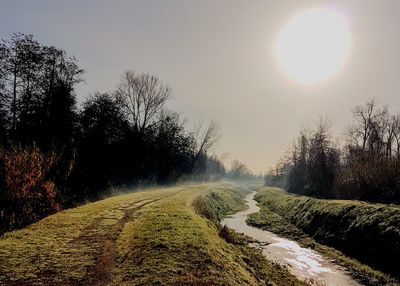 Road amidst bare trees against sky