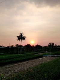 Scenic view of field against sky during sunset