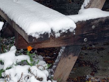 Snow covered log in winter