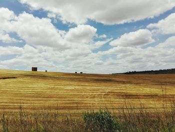 Scenic view of field against sky