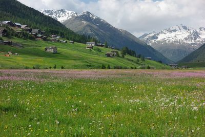 Scenic view of field and mountains against sky