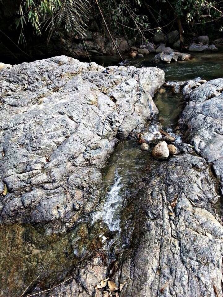 water, rock - object, nature, tranquility, beauty in nature, stream, forest, rock, rock formation, tree, textured, tranquil scene, river, tree trunk, scenics, day, outdoors, rough, no people, high angle view