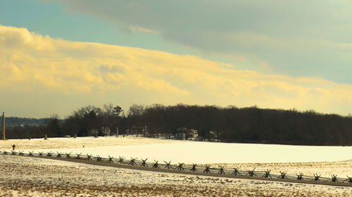 Trees on field against sky during winter