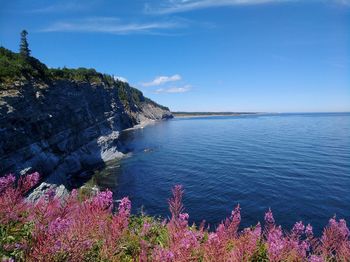 Scenic view of sea against blue sky