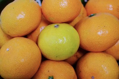 Full frame shot of fruits in market