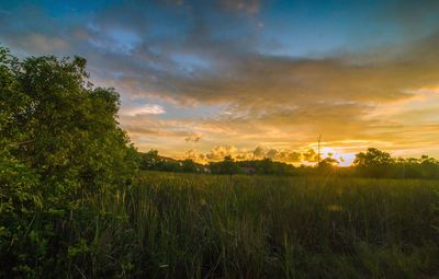 Scenic view of field against sky during sunset