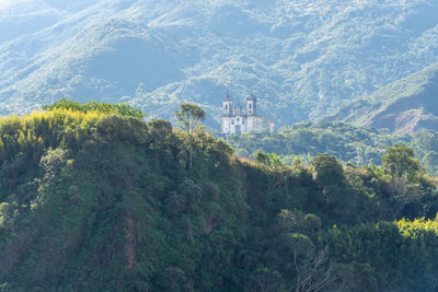 View of trees and buildings against sky