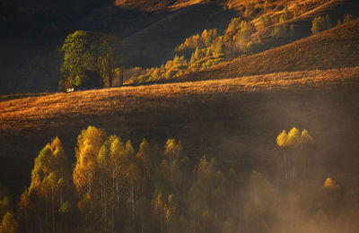 Scenic view of mountains 