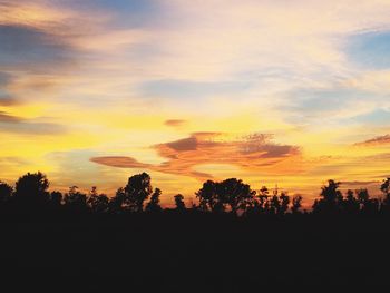 Silhouette of trees at sunset