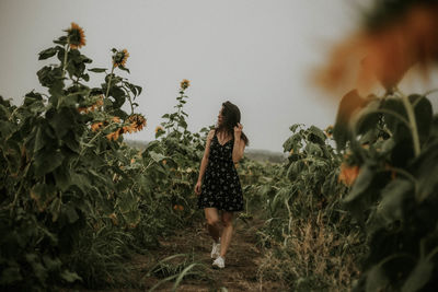 Young woman walking at sunflower farm