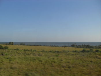 Scenic view of sea and green field against clear sky